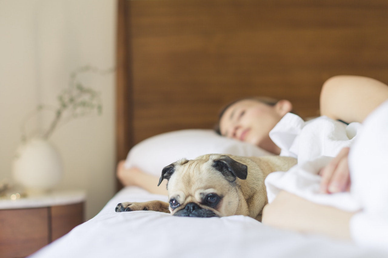 /de/blogs/magazine/different-types-of-pillows-for-different-sleepers