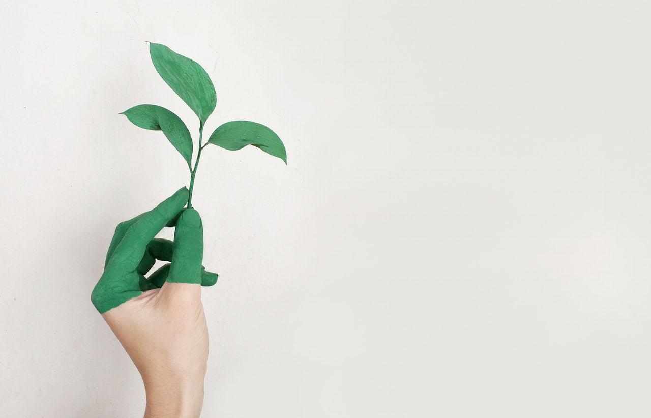 /de/blogs/magazine/ethical-production